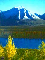 taiga