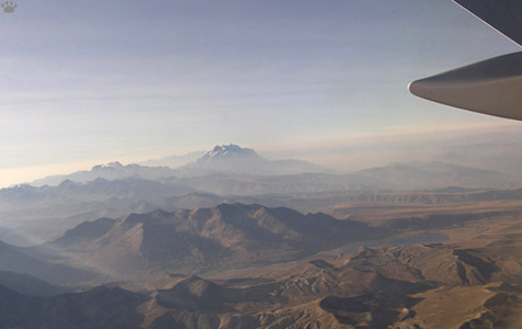 view