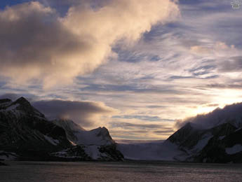 view