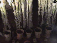 cave