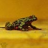 frog