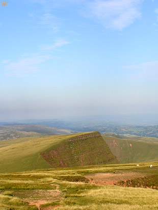 view