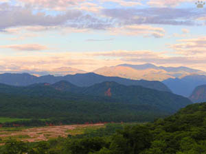 view