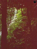 cave