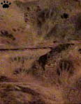 cave