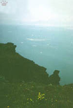 sea