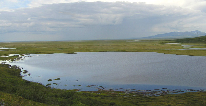 view