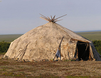 tipi