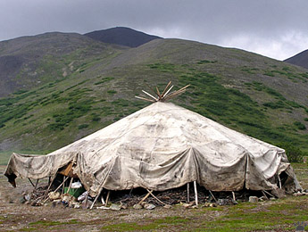 tipi