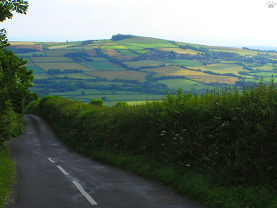 road