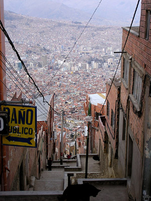 view