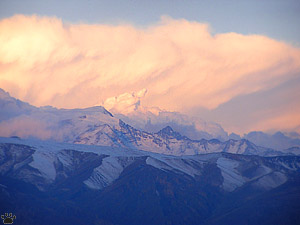 view