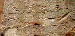 graffity