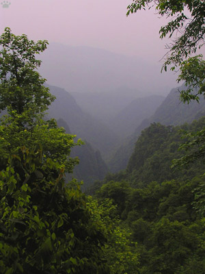 view
