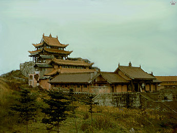 view