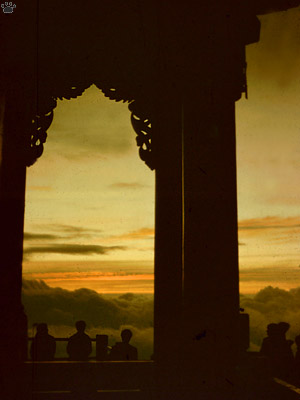 view