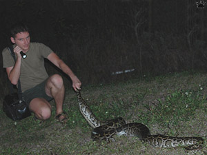 snake