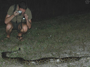 snake