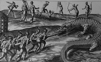 gator