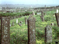 cemetery