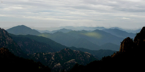 view