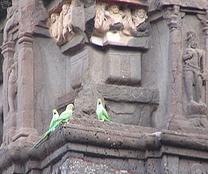 temple