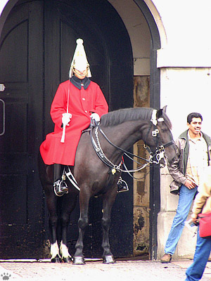 guard