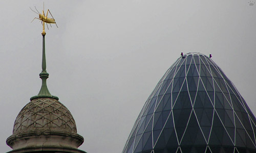 roofs