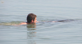 manatee