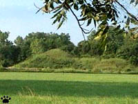 mound