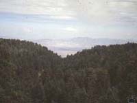 mtgraham