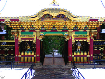 gate