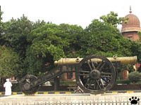 gun