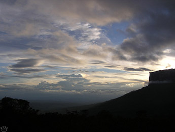 view