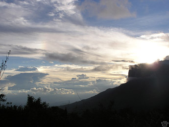 view