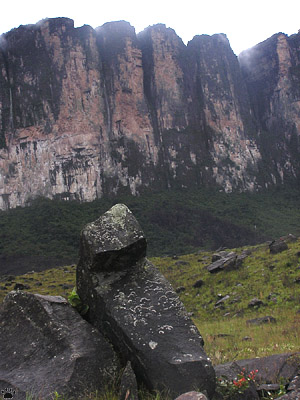 view