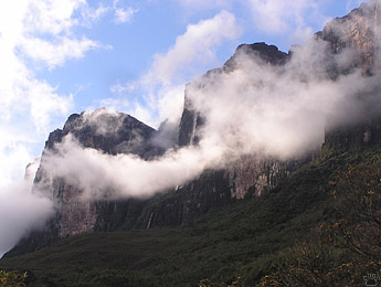 view