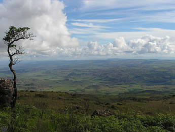 view