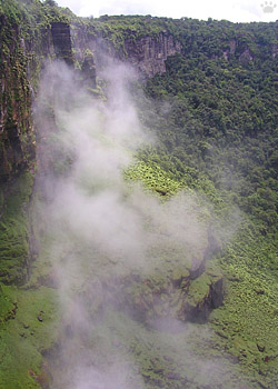 view
