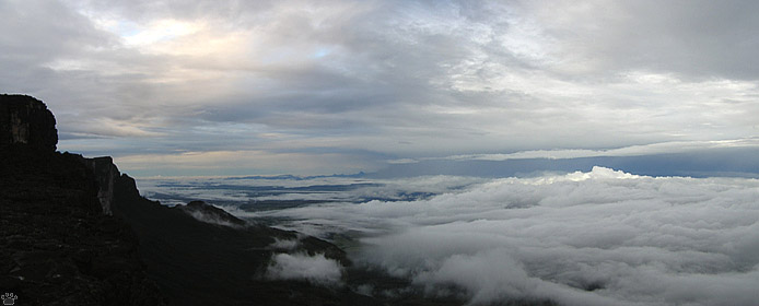 view