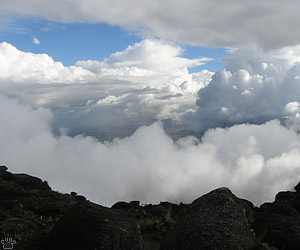 view