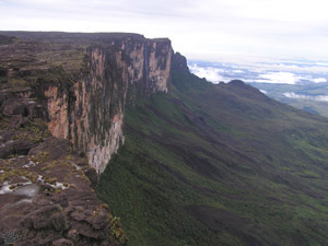 view