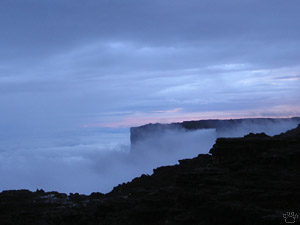 view