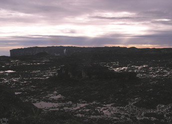 view