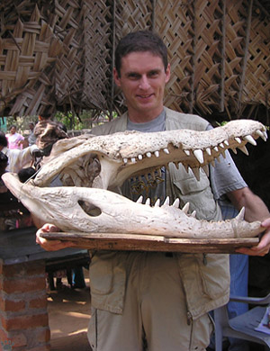 skull