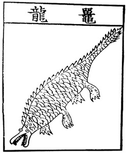 gator