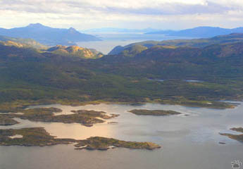 view