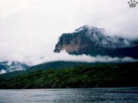 tepui