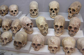 skulls