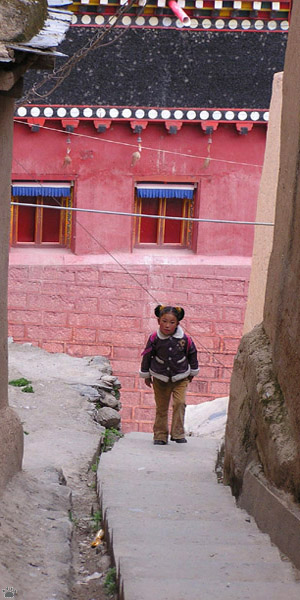 tibetans